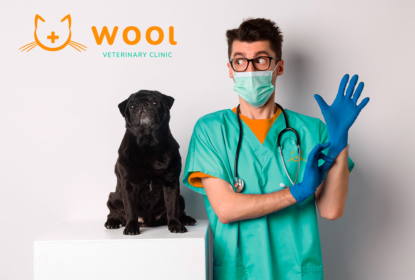 cats clinic dogs logo Logo Design Pet petclinic veterinary veterinary clinic wool