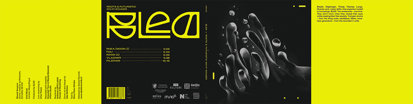 album cover coverart digital illustration graphic design  ILLUSTRATION  music design poster Poster Design vinyl visual identity