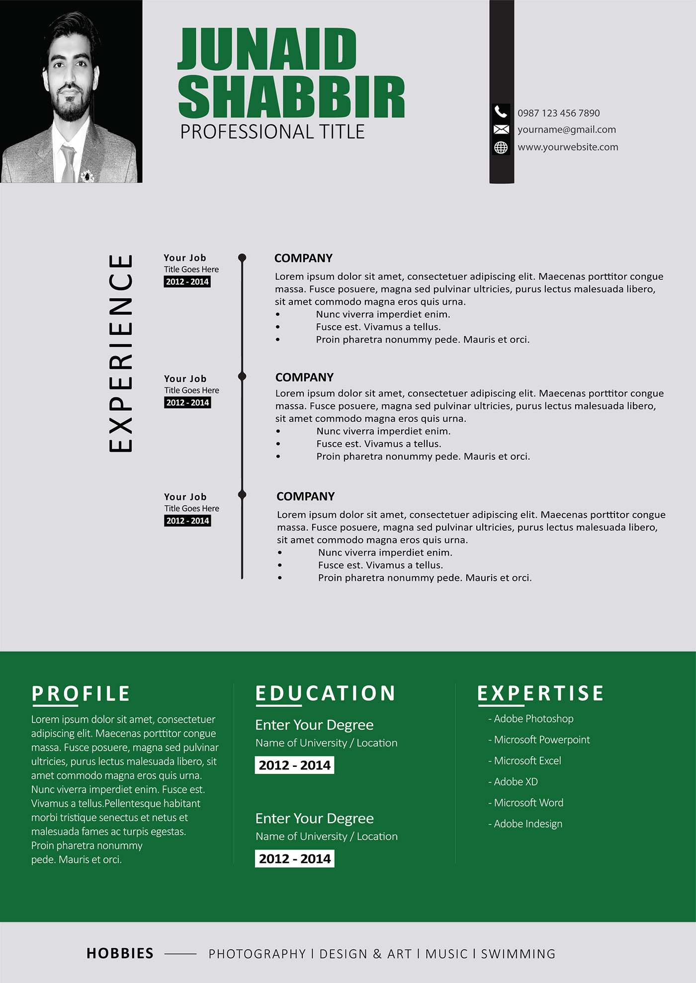 Curriculum Vitae CV cv design infographic infographic resume Kamran Shabbir KS portfolio Resume resume design resume template