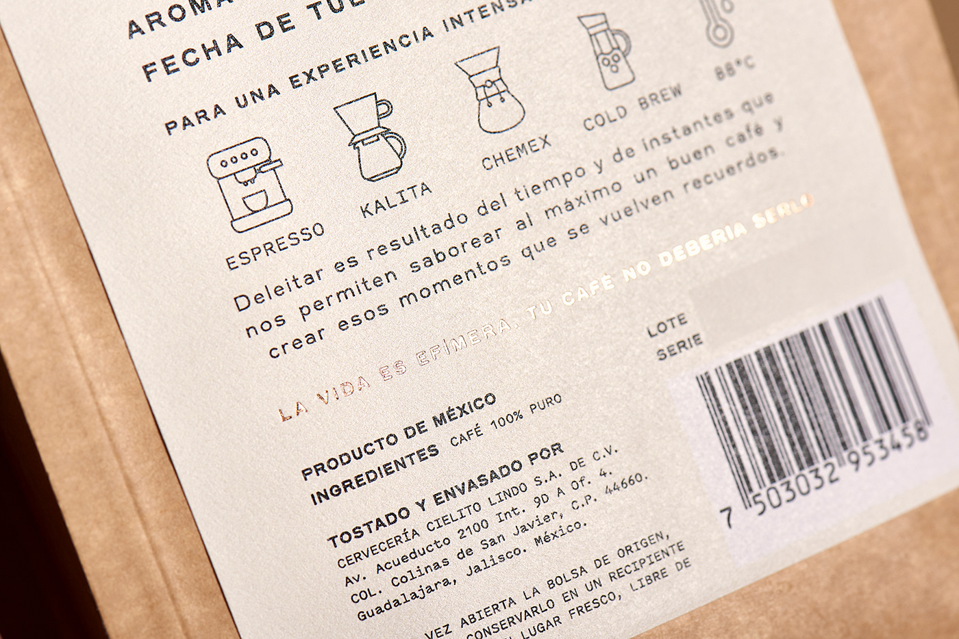 brand identity branding  cafe Coffee colorful Guadalajara mexico Packaging presente specialty