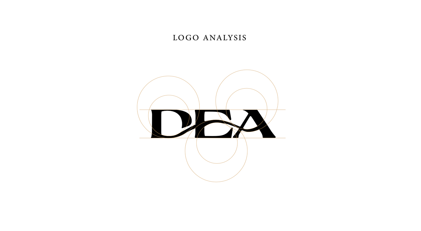 brand identity branding  Branding design Branding Identity Fashion  logo visual