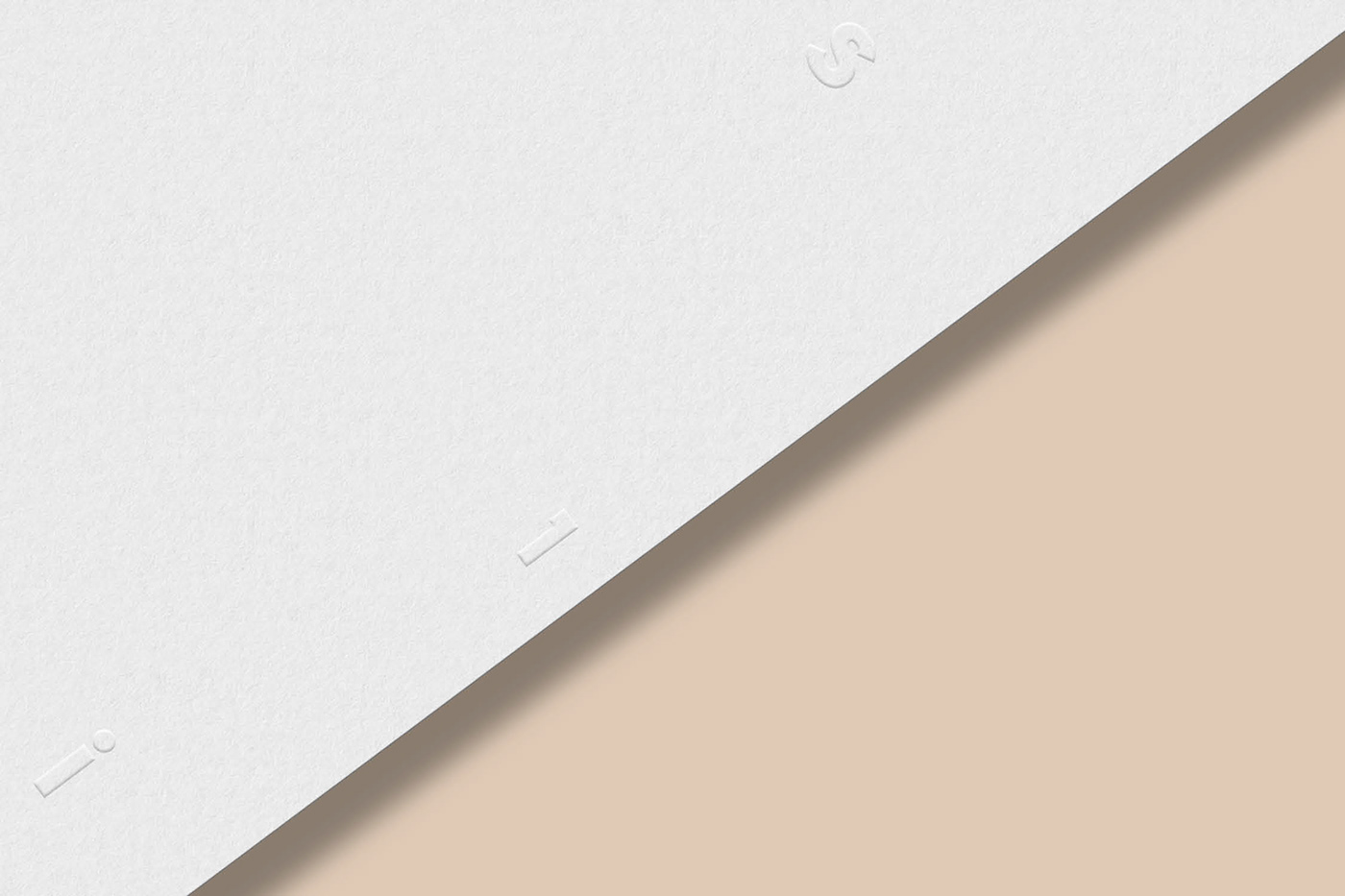 beige branding  Business Cards logo pantone print design  Style Guide typography   visual identity wordmark