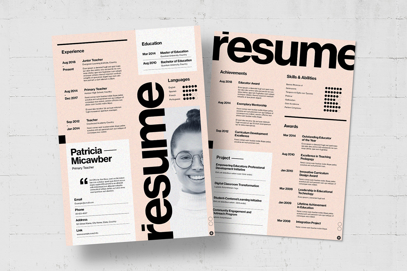 modern Resume CV template curriculum Vitae job application career Employment