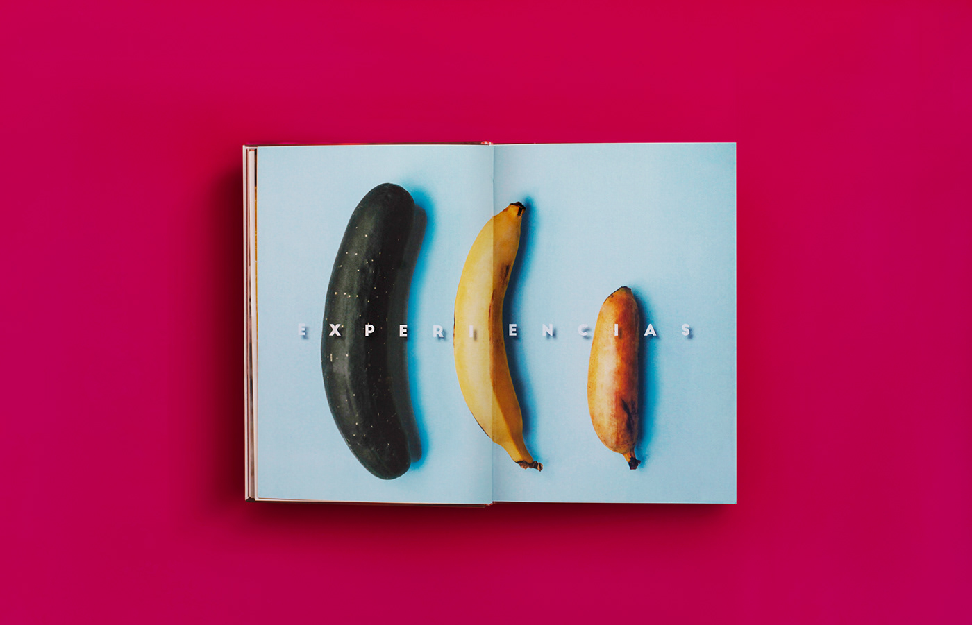 book Diseño editorial Fotografia Fruit editorial book design InDesign editorial design  magazine