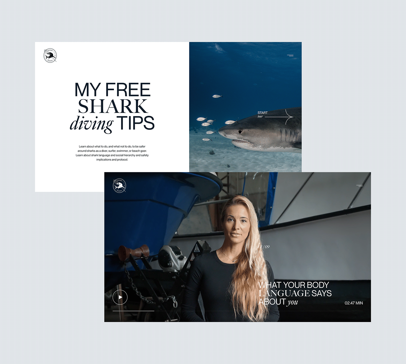 diving editorial design  interactive Ocean ramsey sharks ui design UI/UX Webdesign
