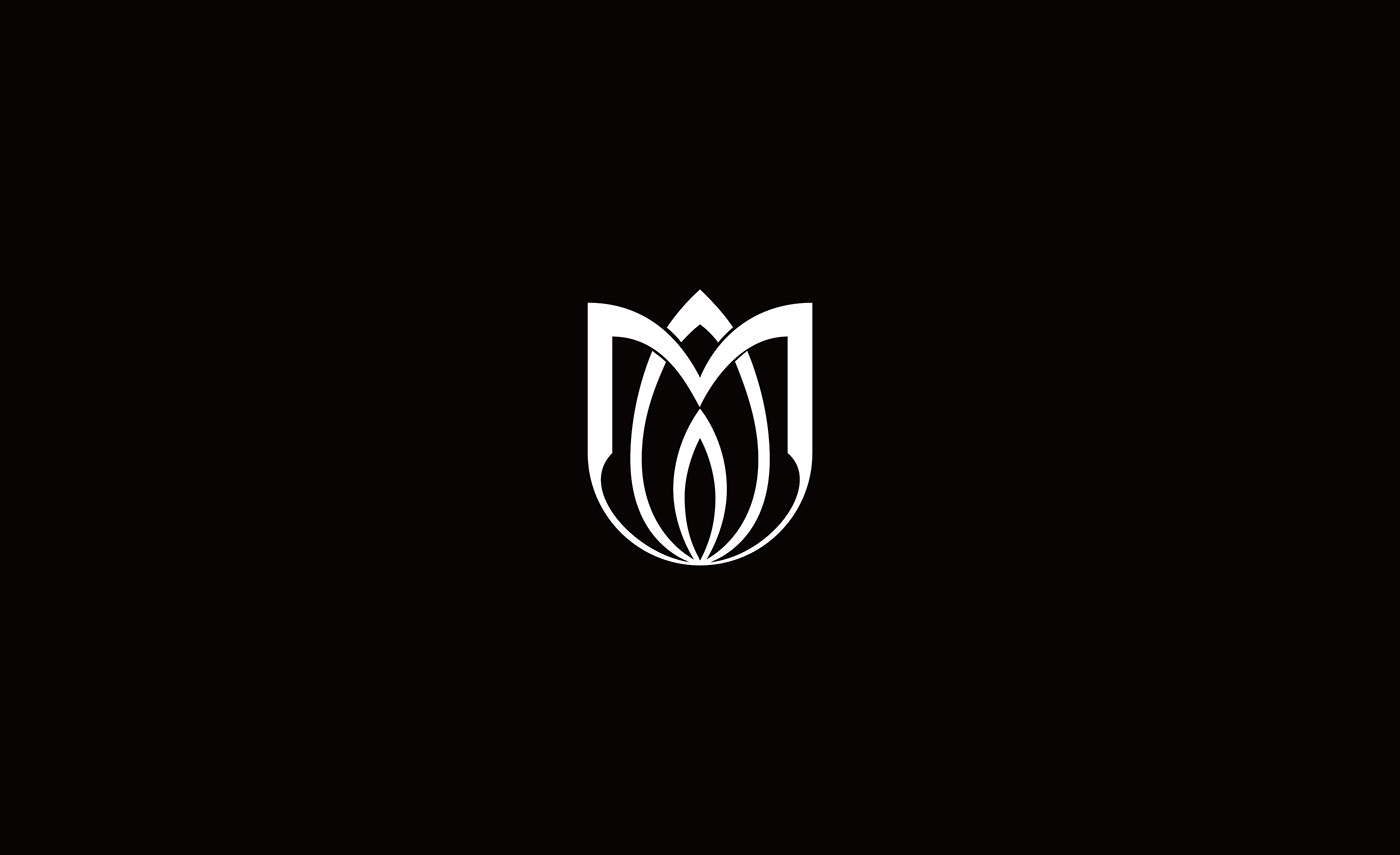 logos logo anhui normal university gracebrand School Logo industry logo website logo chinese logo