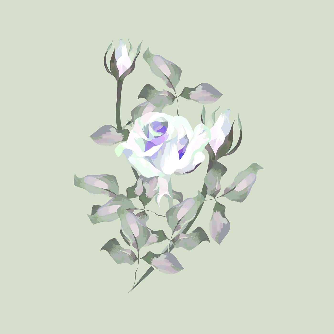 Digital Art  digital illustration Drawing  floral floralillustration Flowers ILLUSTRATION  Nature pattern surface design