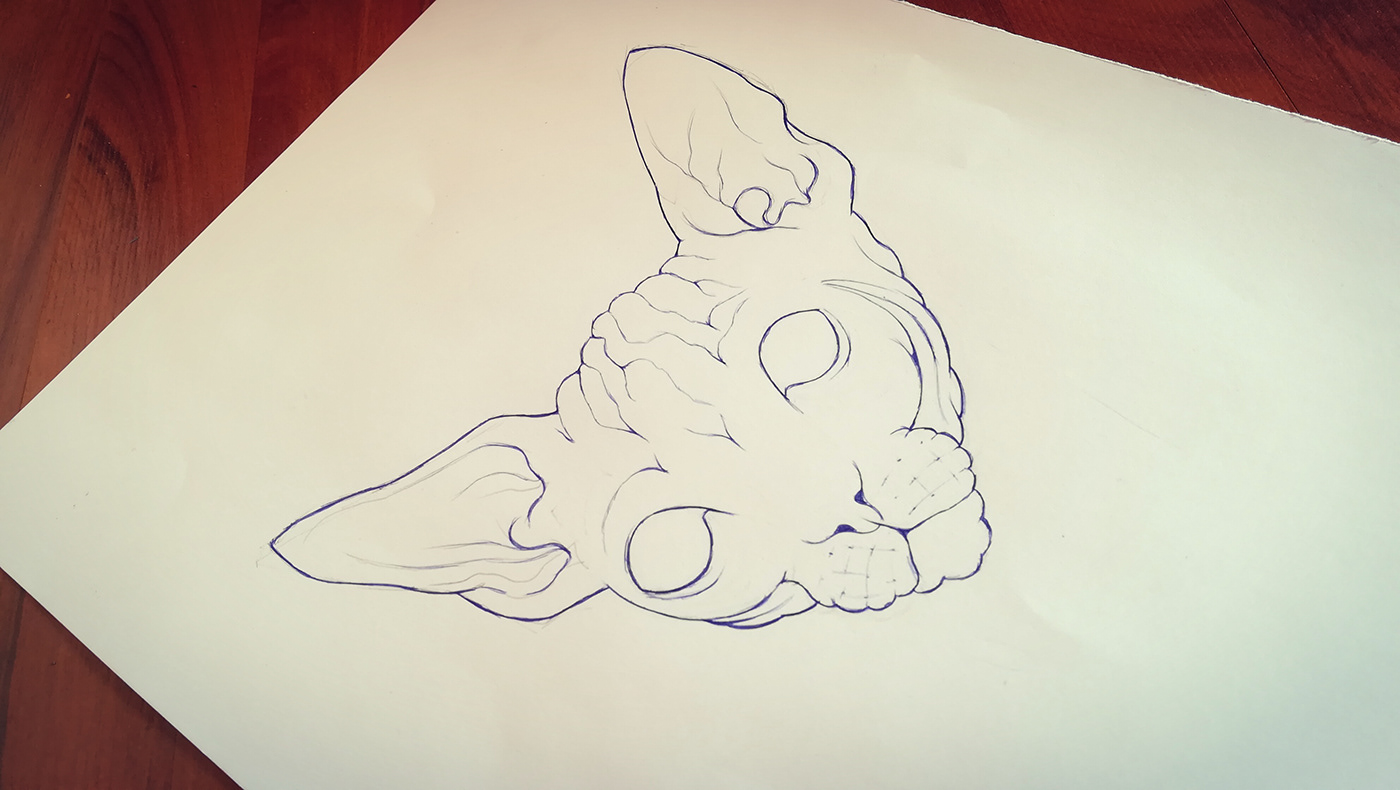 Cat kitten ILLUSTRATION  Drawing  Illustrator adobe graphics vector vectorart digitalart