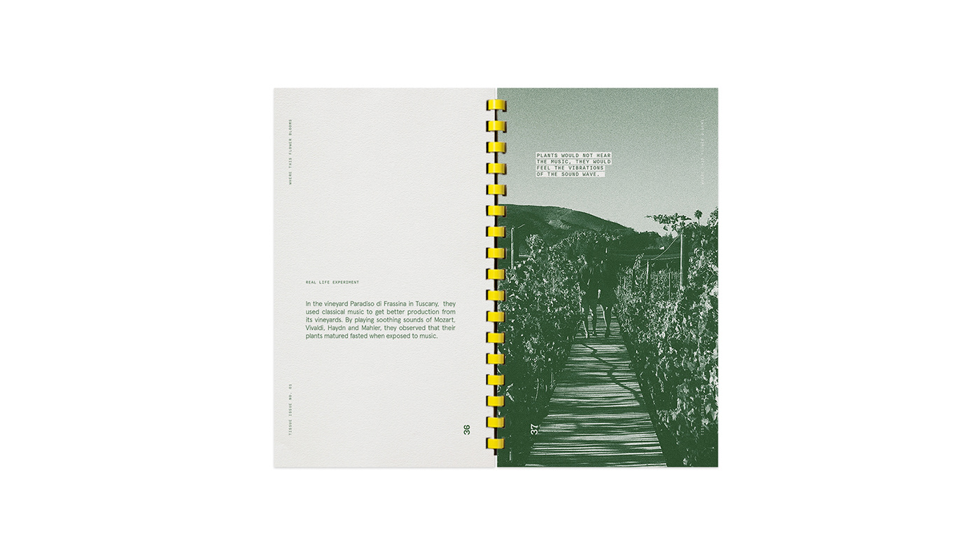 plants ethnobotany editorial Zine  adobeawards InDesign editorial design  mexico studentwork Riso