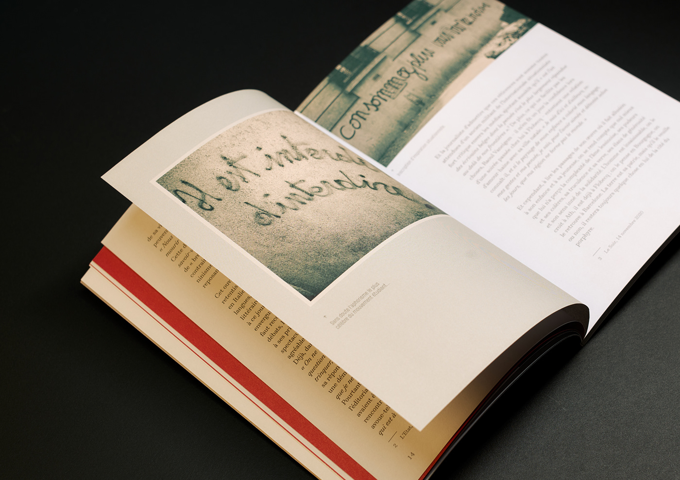 graphic design  InDesign editorial editorial design  book book design publishing   print Layout book cover