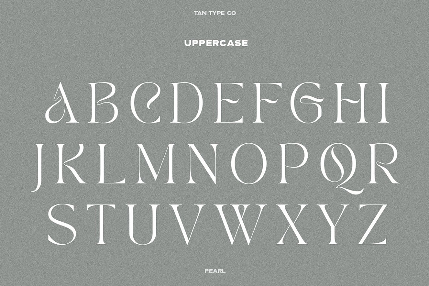 classy font elegant font Fashion font hipster font modern palyful font serif type design Typeface vintage font