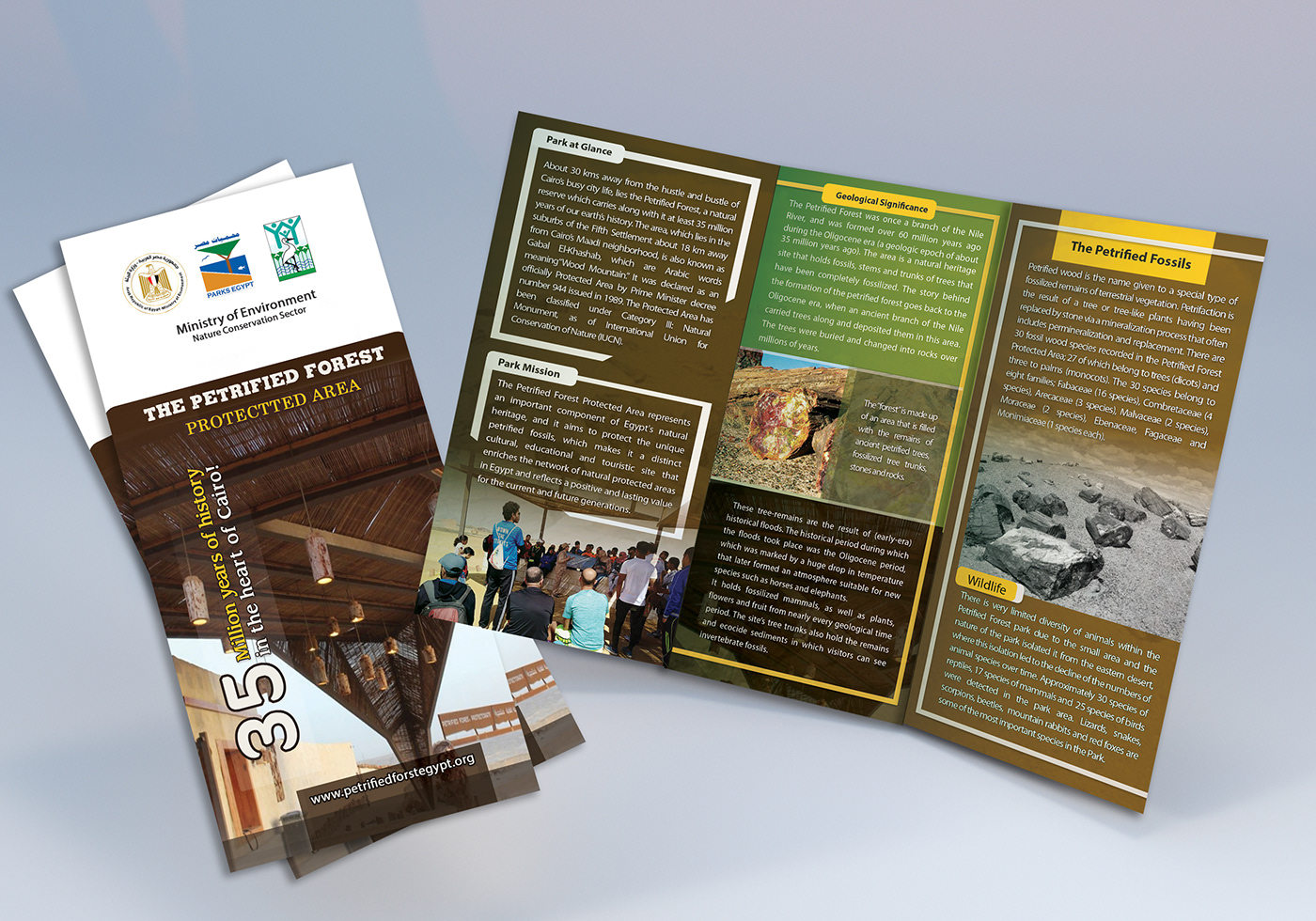 brochure designs flyers Publications roolup signbosrds