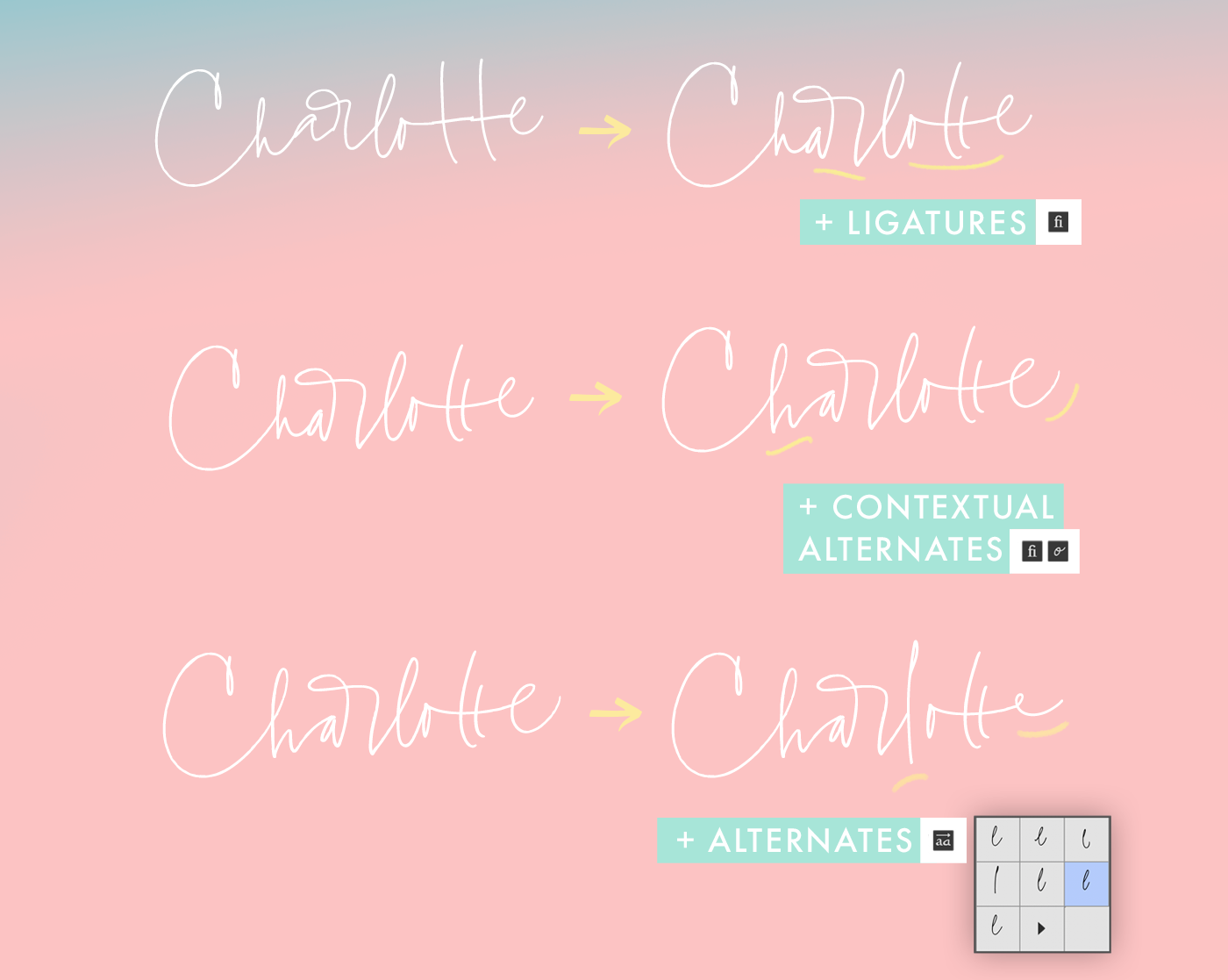 Charlotte Script font thin modern Playful Opentype contextual alternates free Free font