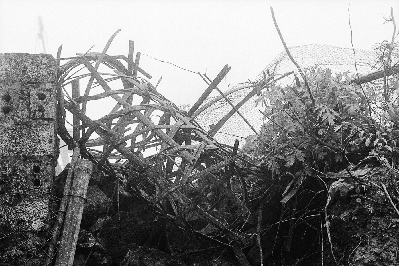 analog photography leica M kodak Tri-x Documentary  Photography  35mm black and white Schwarzweiß analog