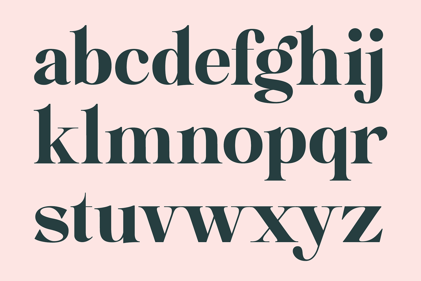 Typeface elegant Fashion  font Didone serif type design hairline Terminals
