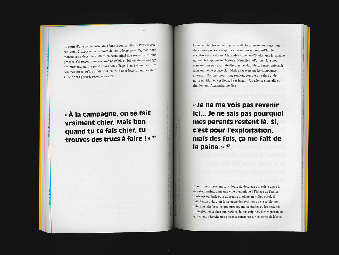 tesis rural print type kitch brutal Mémoire recherche campagne Anti-Design