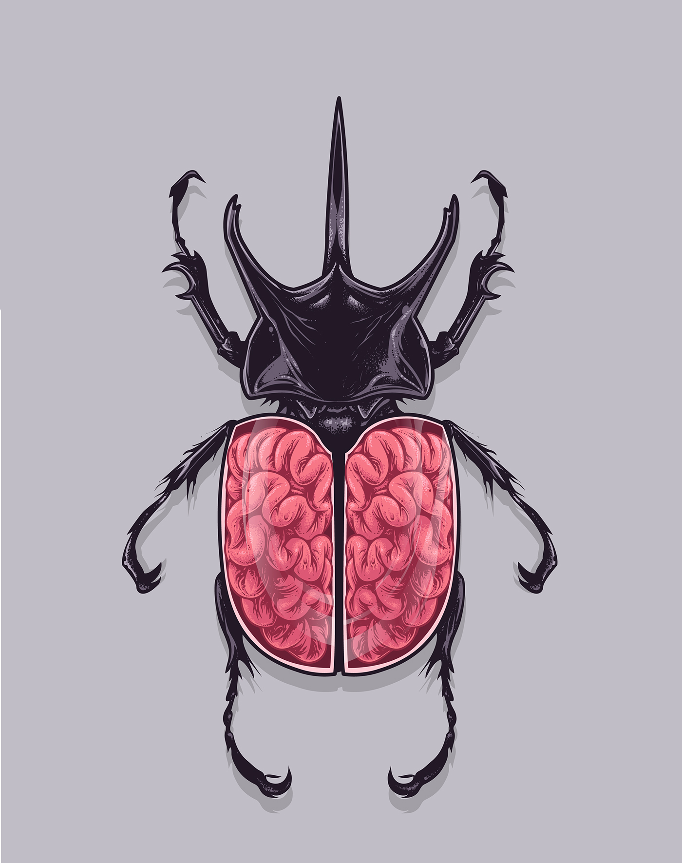 beetle Brains insect Kensukecreations graphic illustration Rhinoceros beetle bug