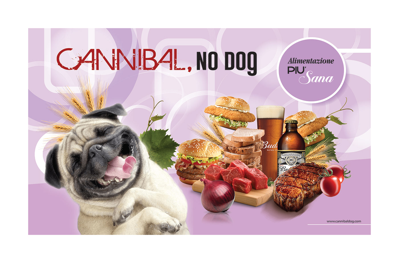 Image may contain: carnivore, animal and dog