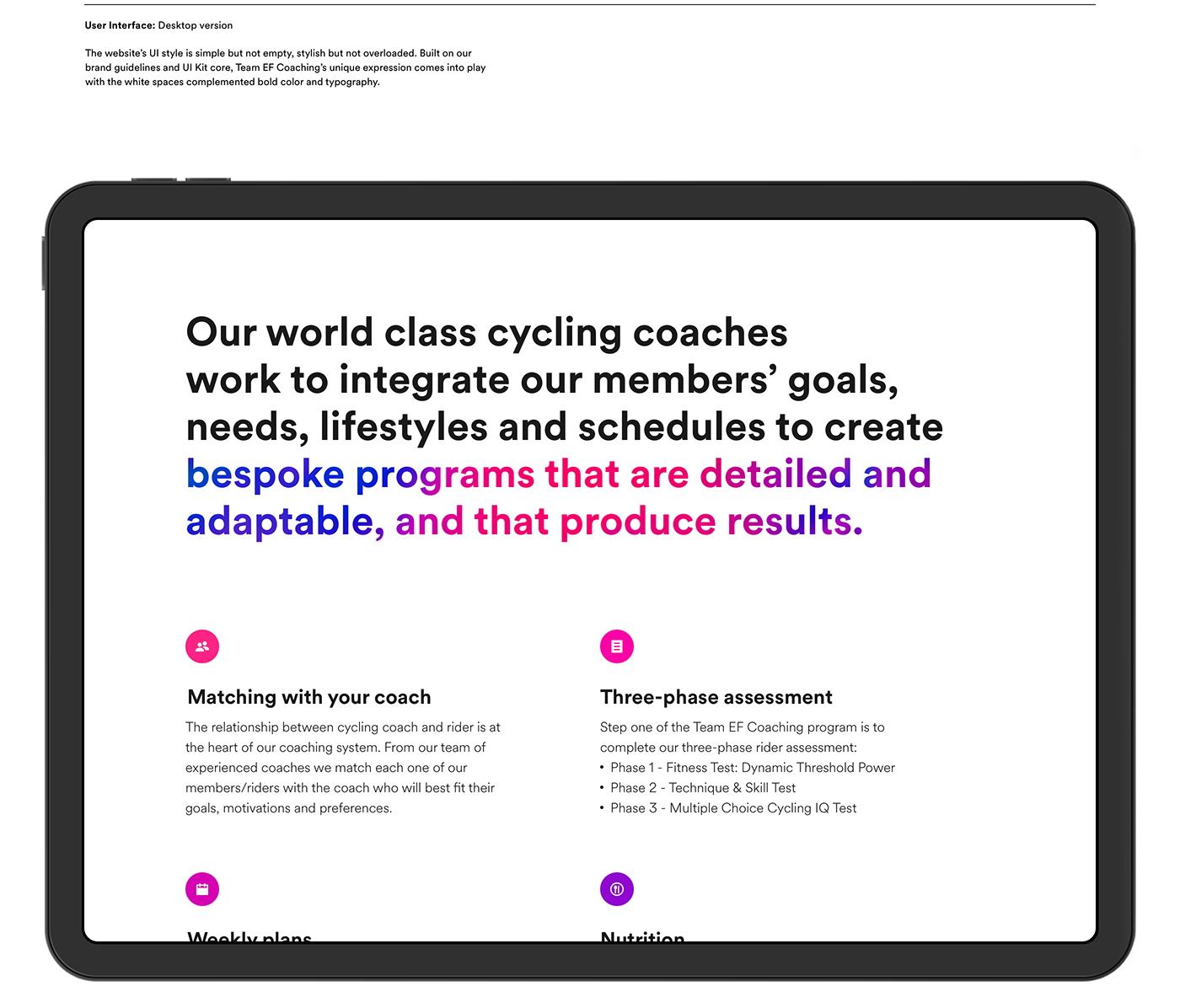 branding  clean coaching Cycling educationfirst efprocycling gradient minimal sports Webdesign