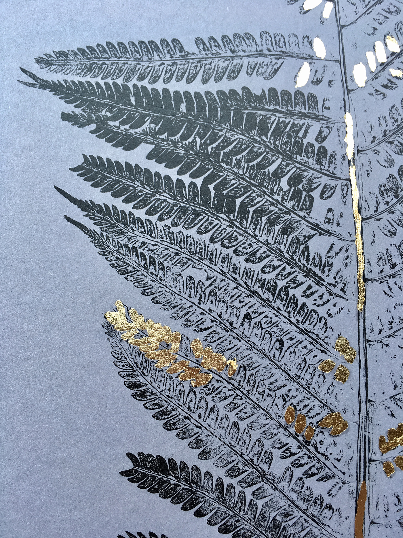 plants graphic gold monotype fern Monstera design Nature leaf