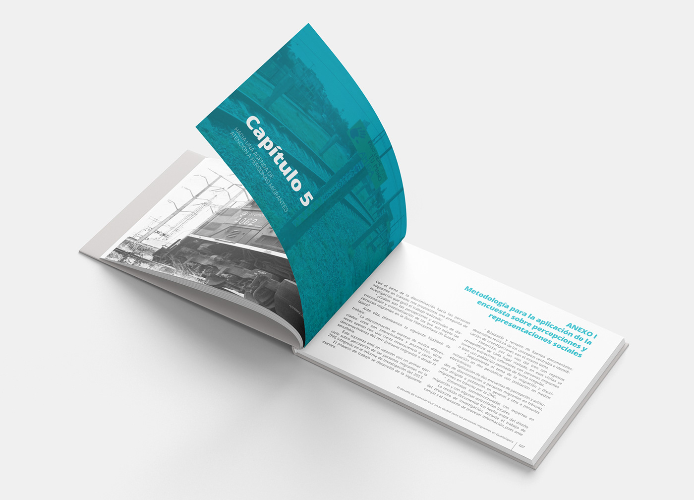 Diseño editorial informe anual info design annual report migration investigation mexico Centroamerica book non profit