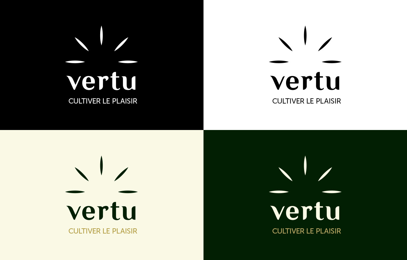 branding  chanvre emballage hemp logo Packaging site web identité visuelle