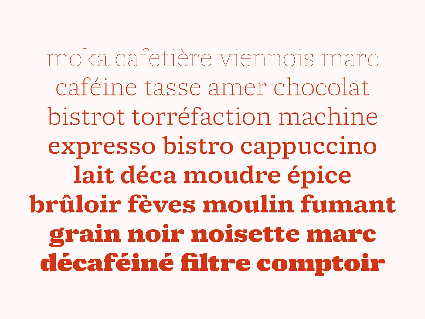 molto typetogether Xavier Dupré slab serif hairline Fat display Swashes Typeface