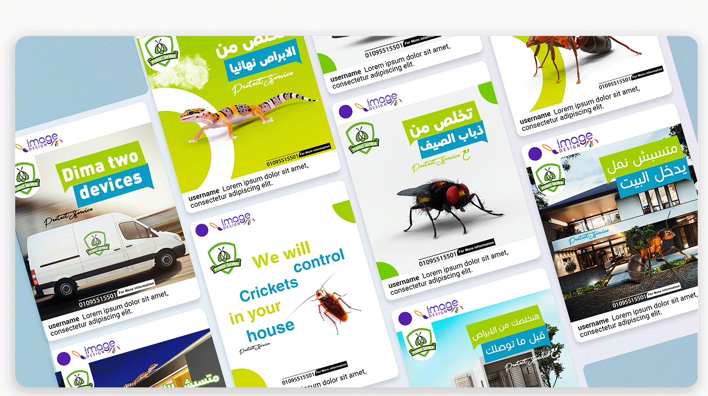 design Graphic Designer brand identity Social media post insecticide Pest Control cleaning animal housing Insect Control scared fly