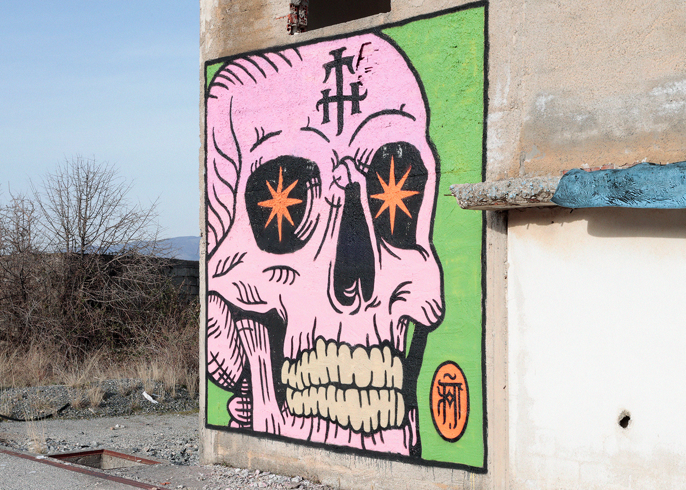 Mural Graffiti Street Art  skull art digital illustration pink skulls Skull art 3mk