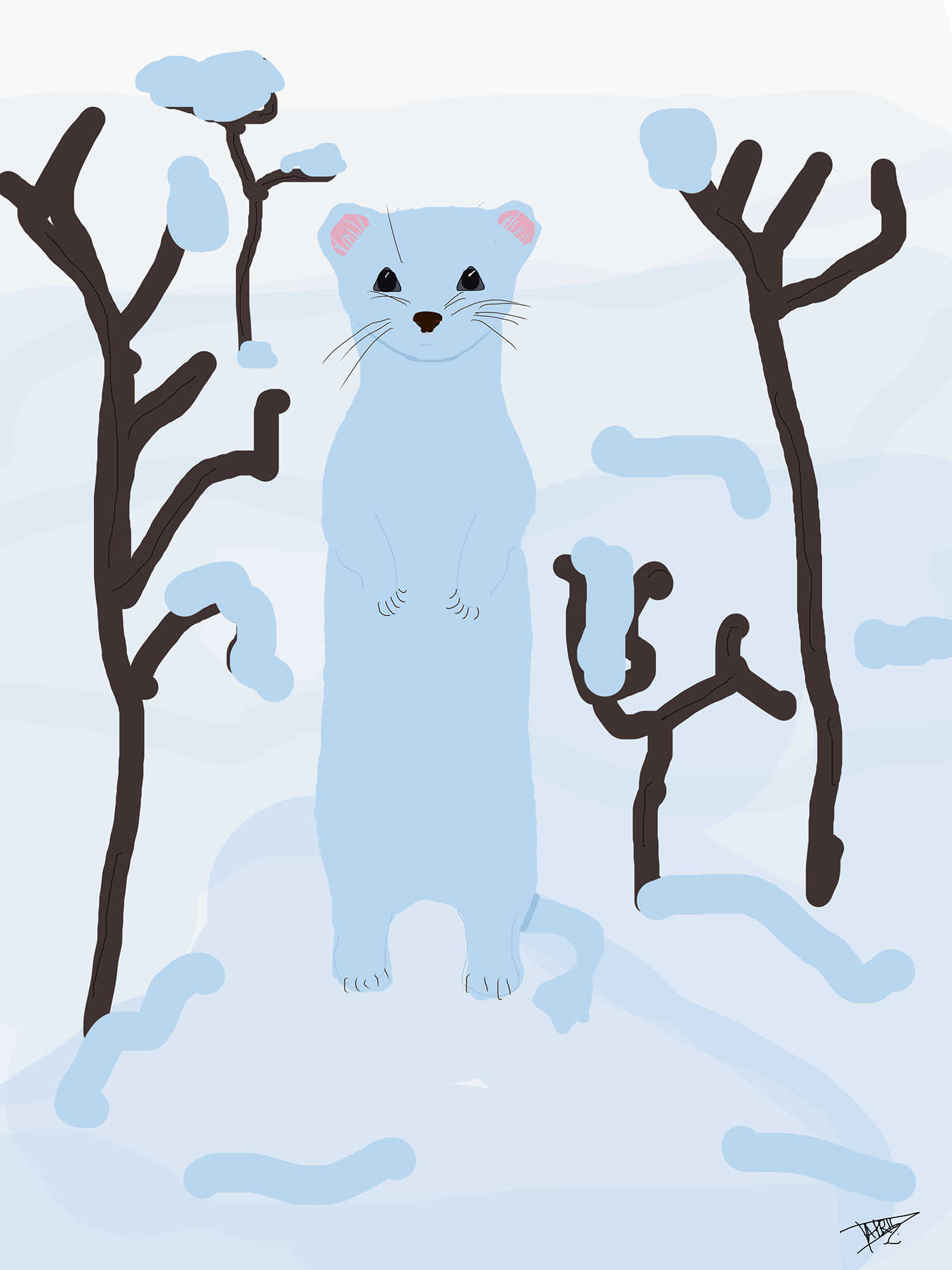 Hermine hiver neige cute Cat