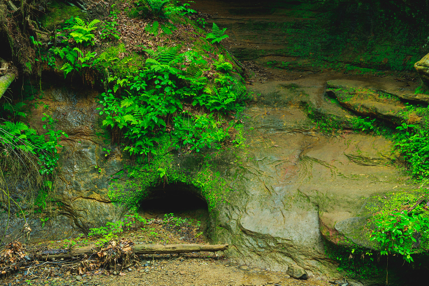 caverns forest hocking hills state park lush green may 2021 ohio wilderness Rock Face sand stone trails Waterfalls