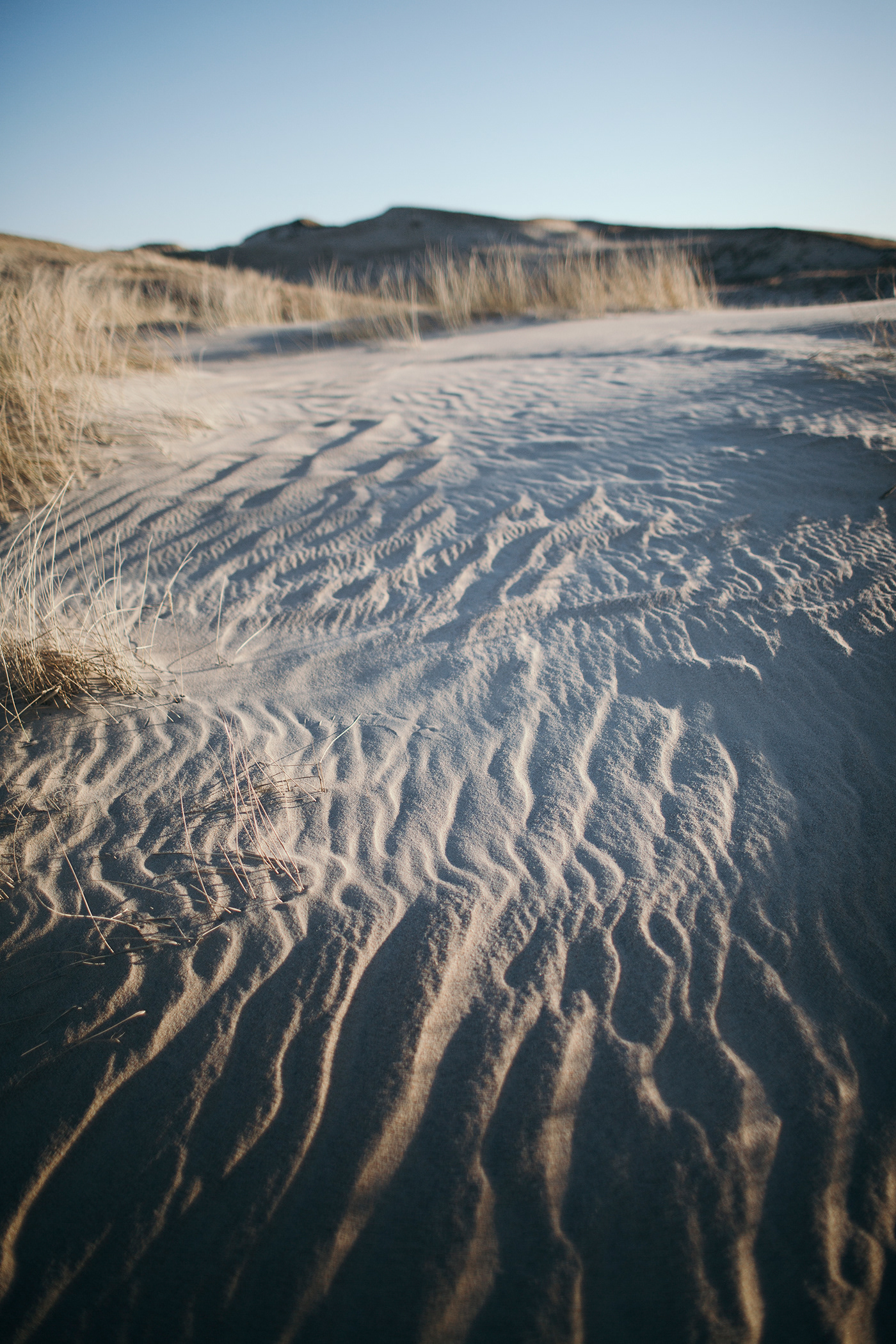 curonianspit lithuania sea lagoon dunes winter cold Landscape Nature lifestyle