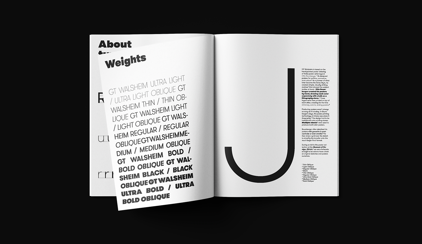 Typeface specimen design typeface specimen Specimen Design graphic graphic design  editorial Icon