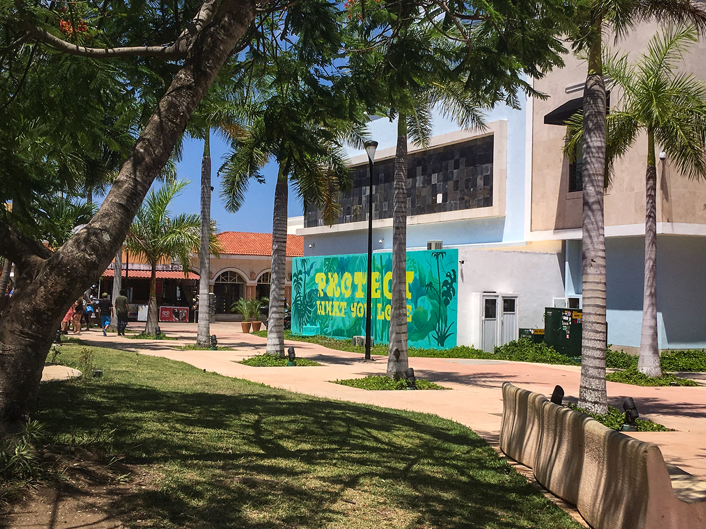 sea walls Mural mexico Street Art  lettering type conservation