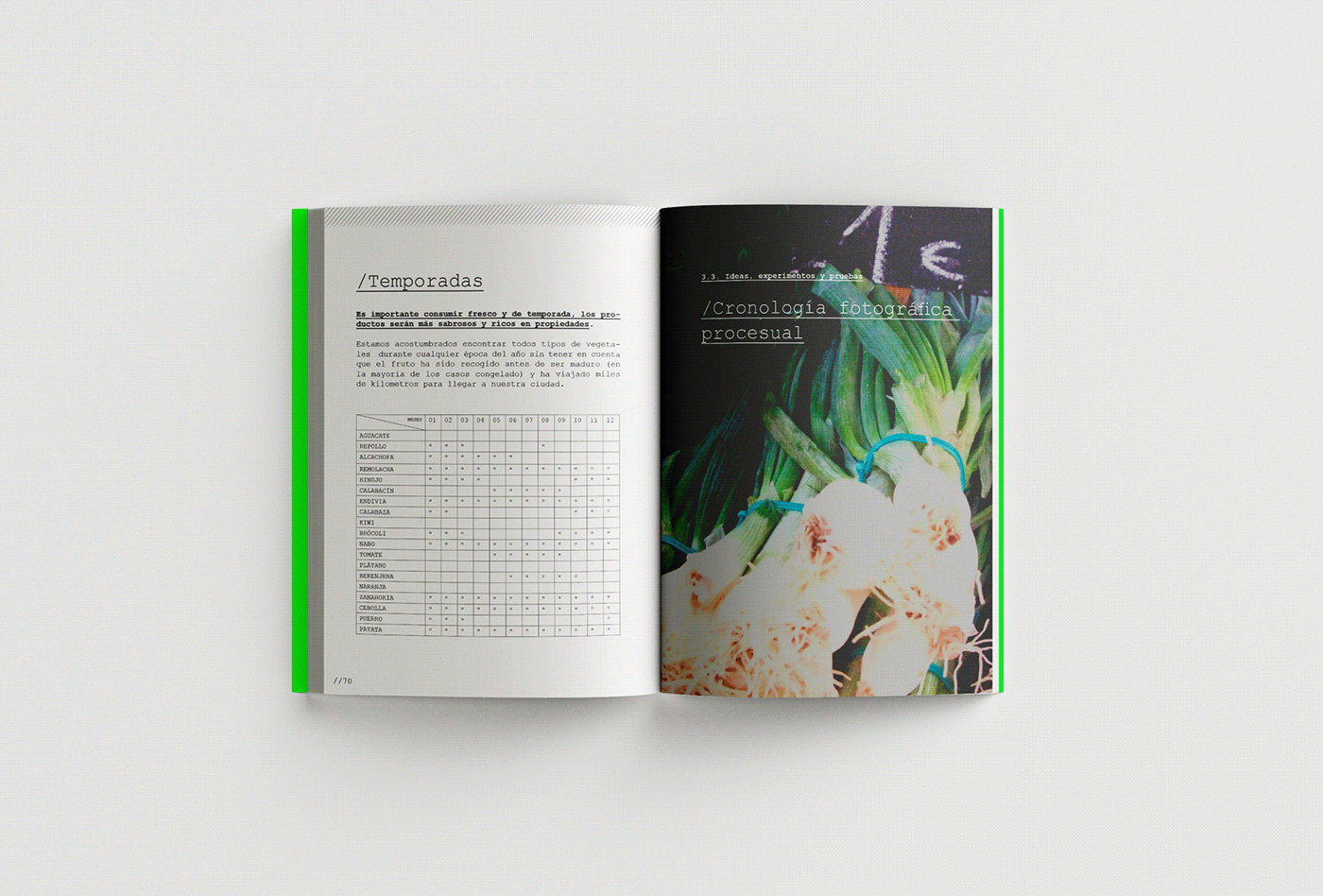 art direction  artwork book design creative dirección de arte Diseño editorial diseño gráfico Diseño web editorial grafico