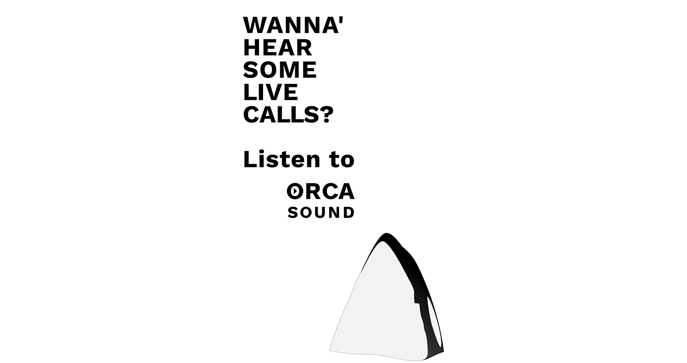 orca sign underwater sound