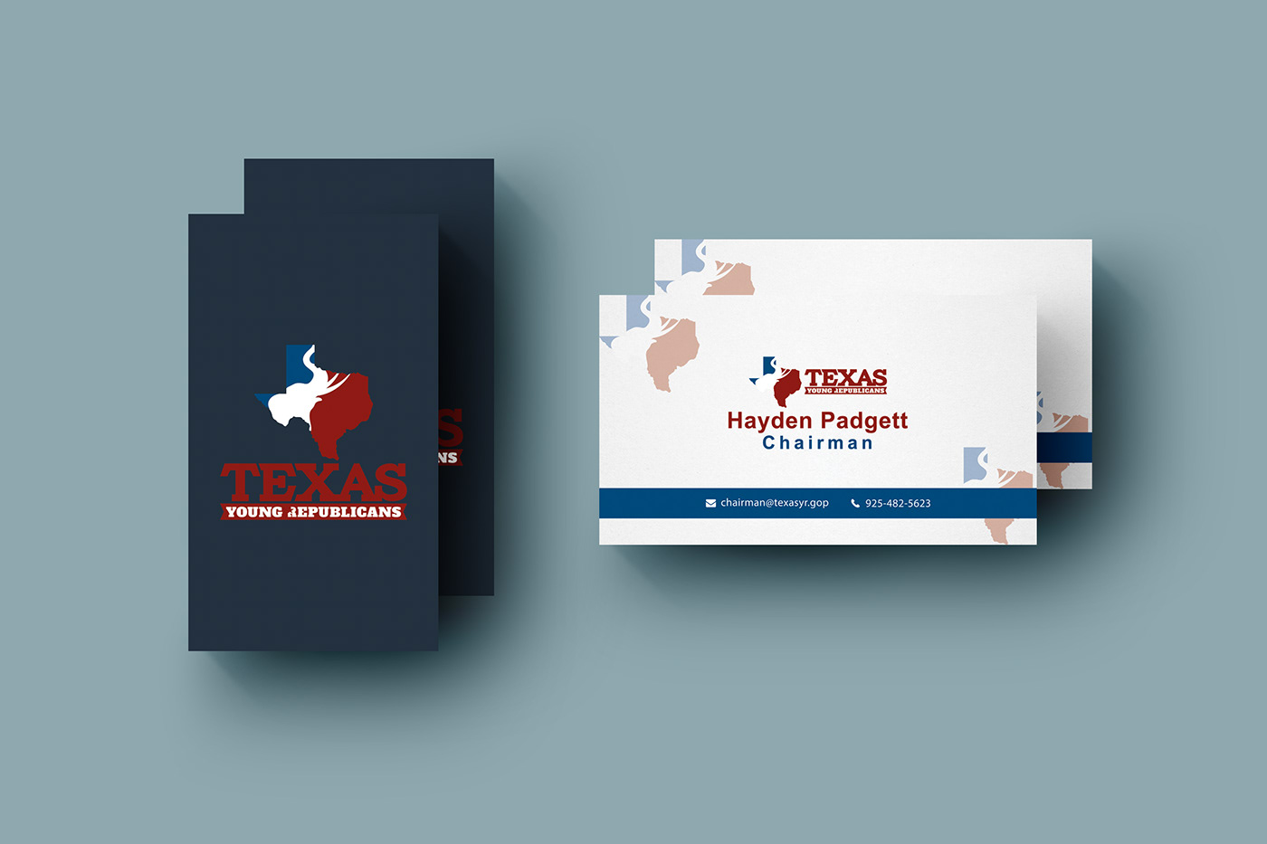 business card print print design  branding  Corporate Identity brand identity logo