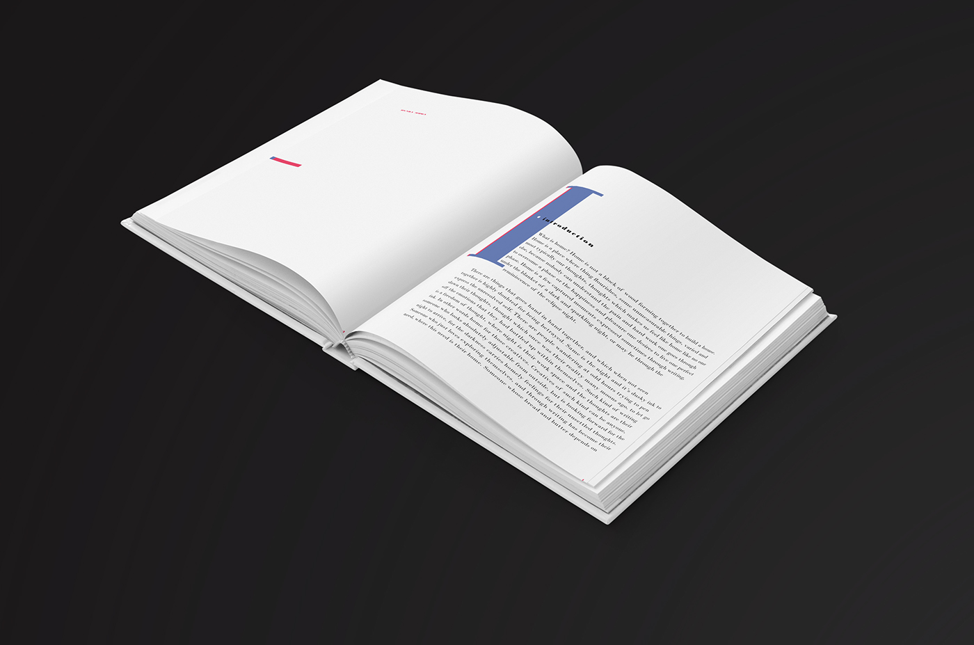 home book design book design graphic design  editorial design  print design  publishing   typography   hybrid design