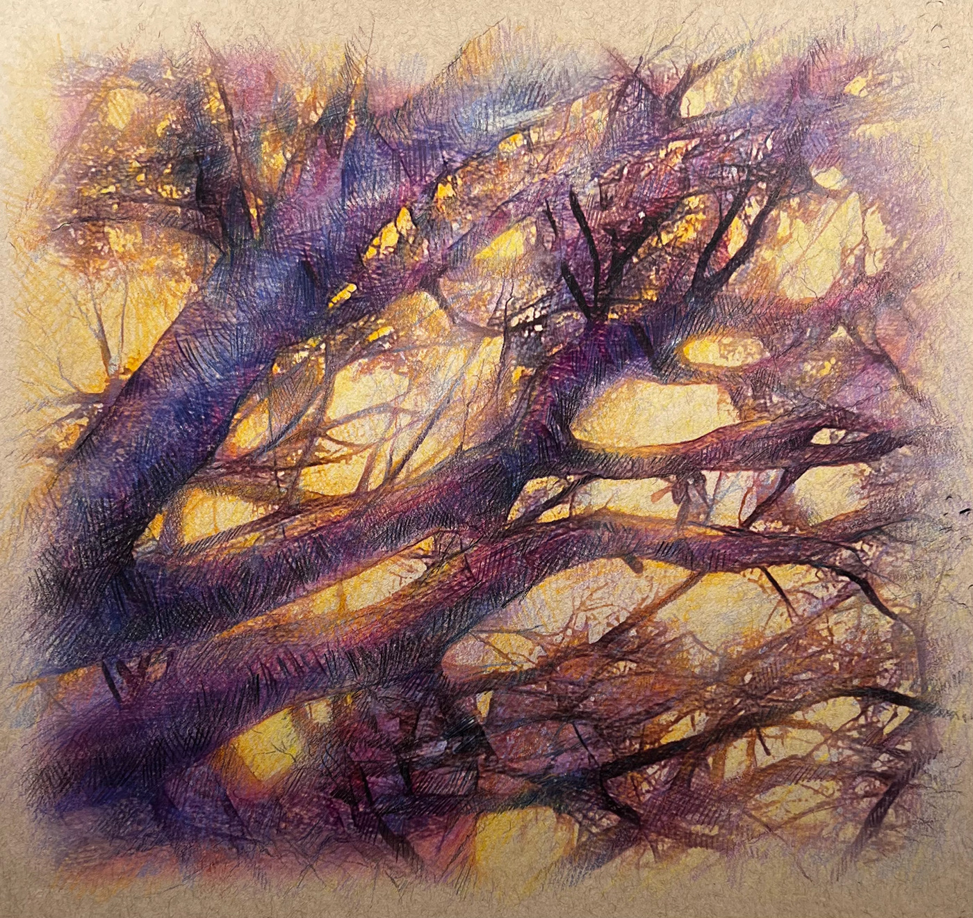 trees Treescape Nature Landscape sunset ColorPencil Drawing  oak trees