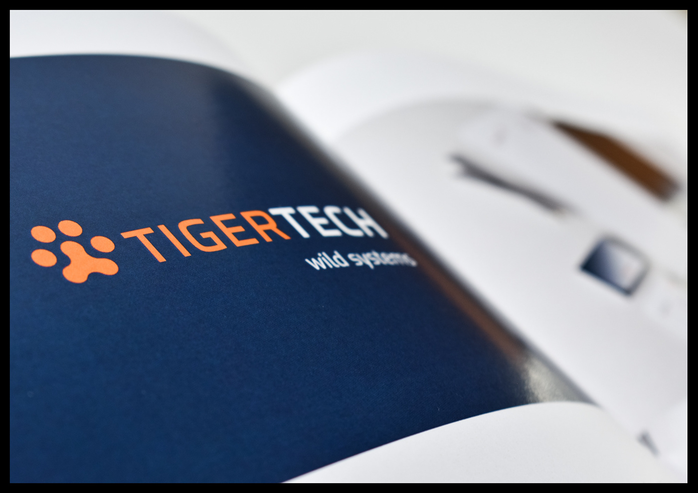 design editorial graphic Photography  portfolio printed product studentshow typography  