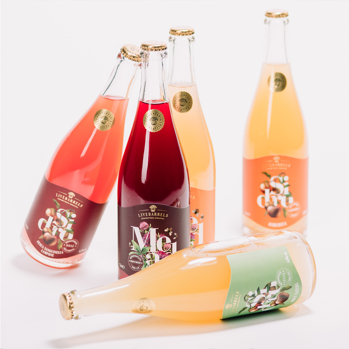 beverage bottle brand identity branding  kombucha packaging label design mead Mockup Packaging sidro