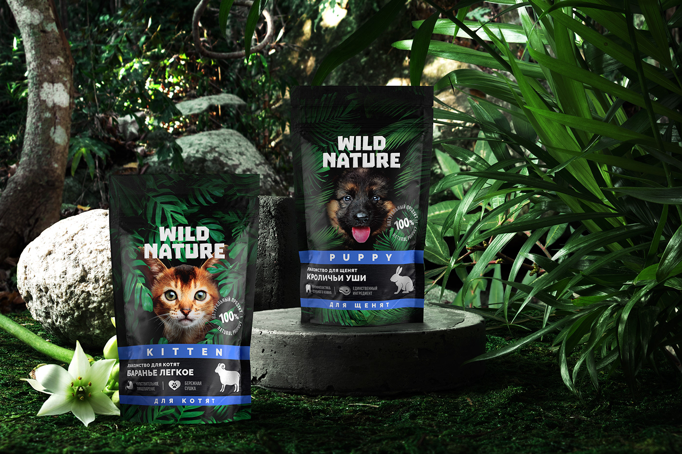 animal Brand Design Cat dog jungle Nature packaging design Pet pet food