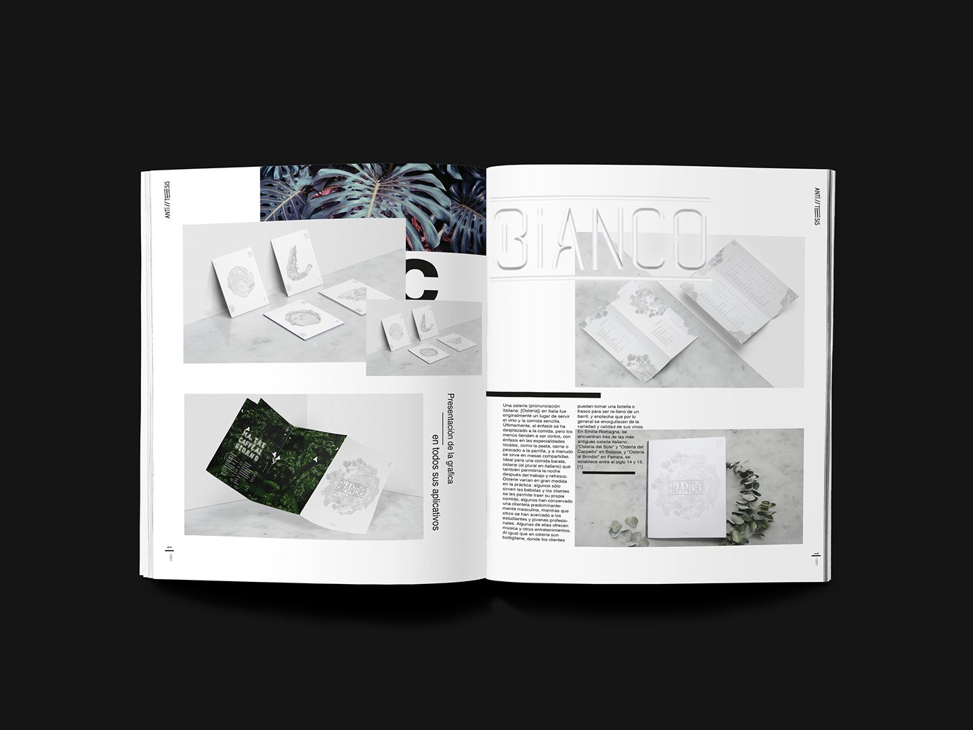 InDesign photoshop magazine tesis book experimental editorial design  experimentaldesign Zine 