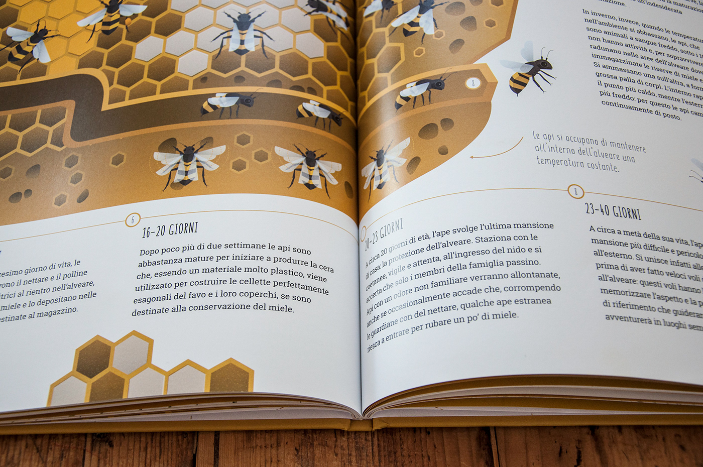 bee bee hive history white star environment ecosystem kids Bee conservation api honey