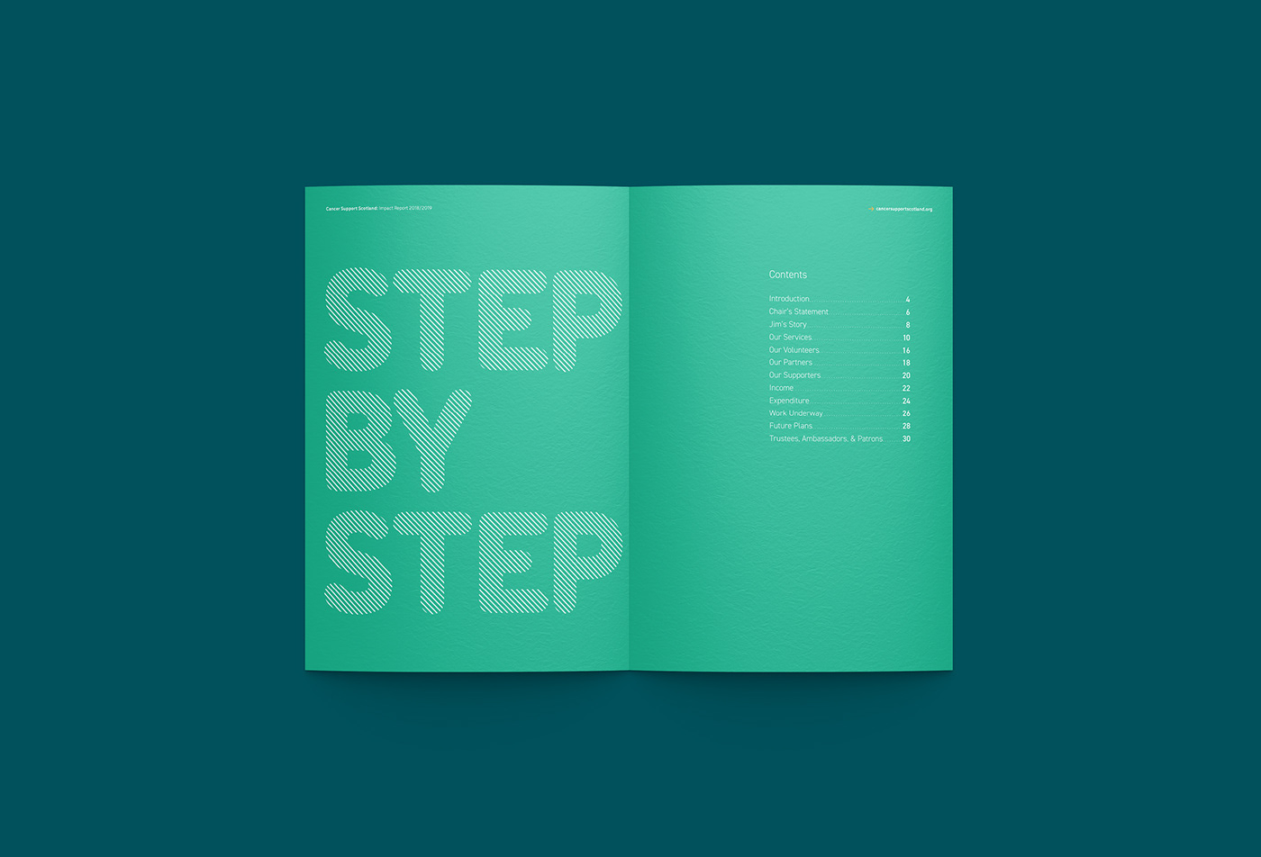 infographics charity annual report brochure design graphic design  publication design