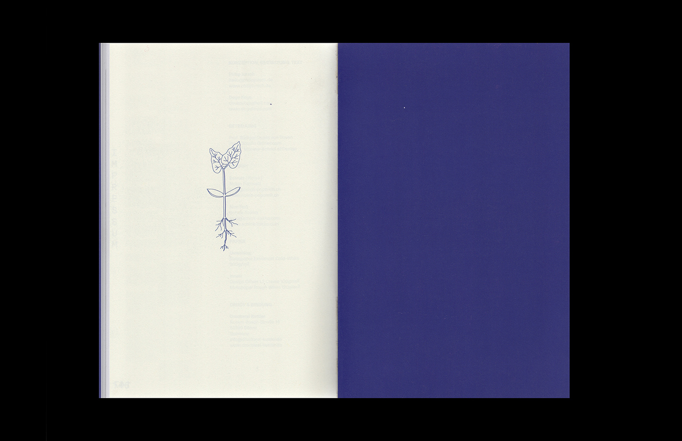 Bookdesign editorial book book-design everett noe editorialdesign Editorial-Design typography   print