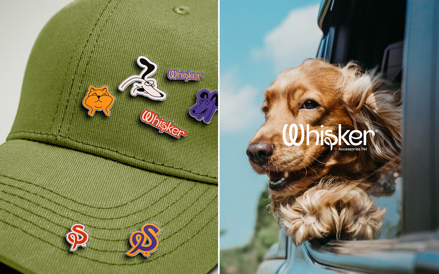 branding  Logo Design visual identity Pet pet food brand identity brand guidelines dog food Cat дог