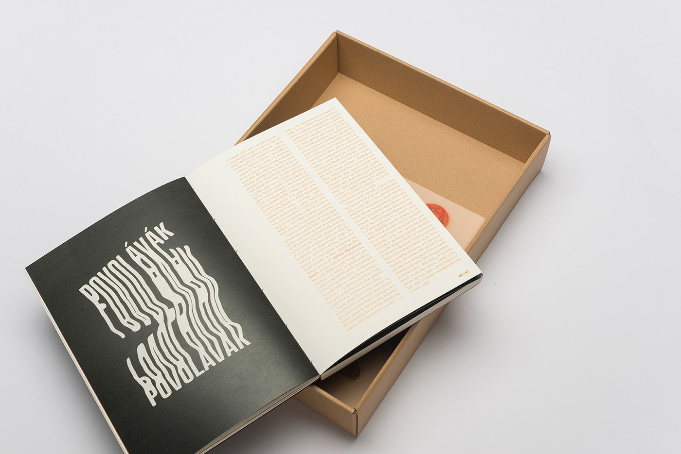 portfolio book design graphic design  Layout typography   package binding ILLUSTRATION 