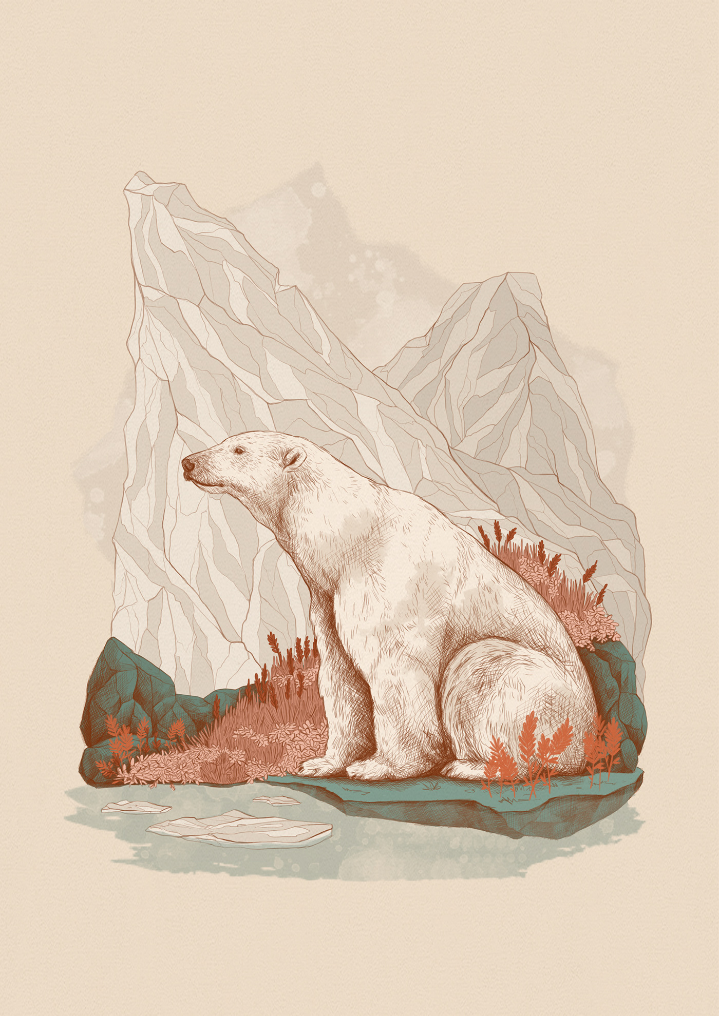 animals Nature digital illustration Arctic pencil art work Drawing  monicaldasanz Polar Bear wildlife