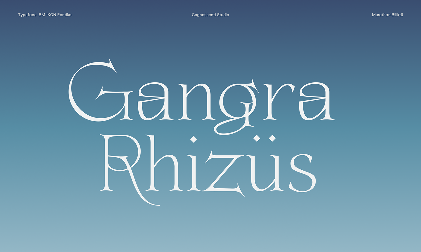 brand branding  Classical editorial font logo serif type type design typography  